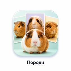 Породи