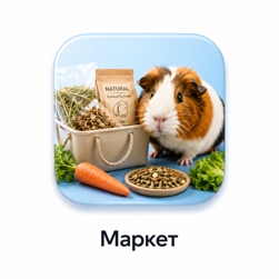 Маркет