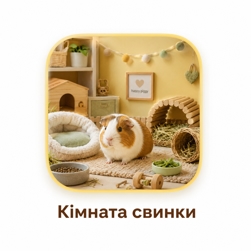 Кімната свинки